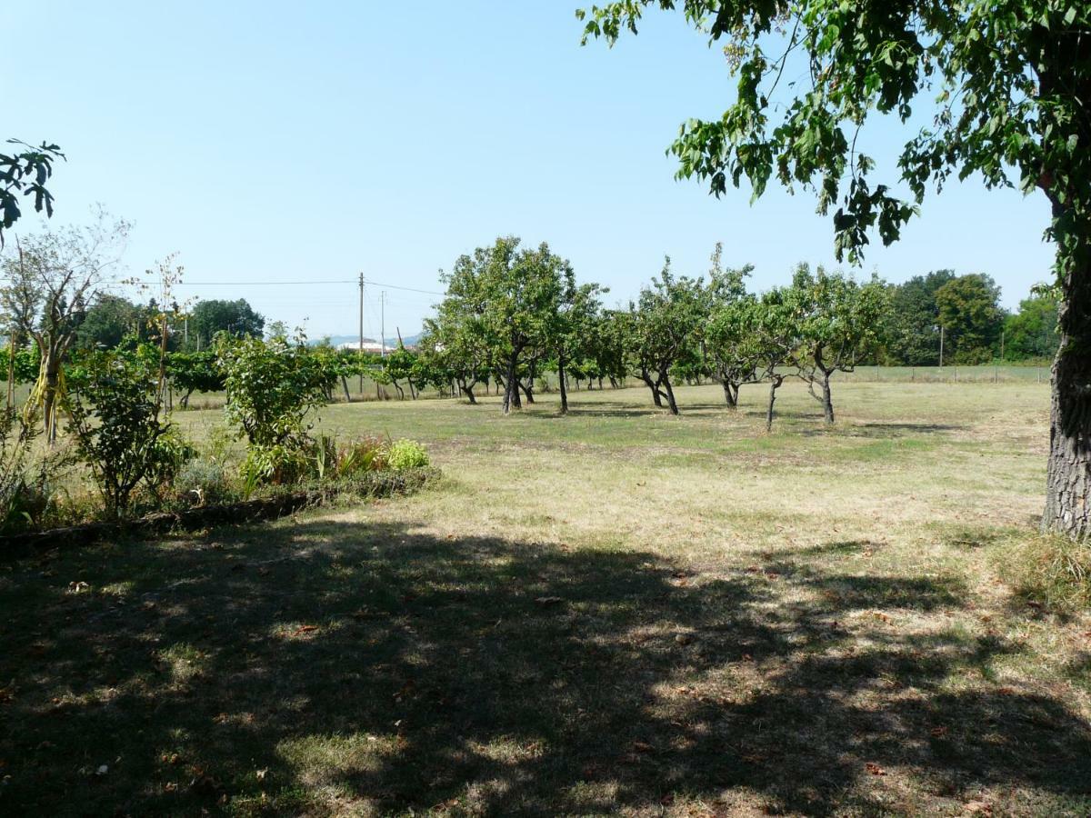 B&B Villino Margherita San Lazzaro di Savena Exteriör bild