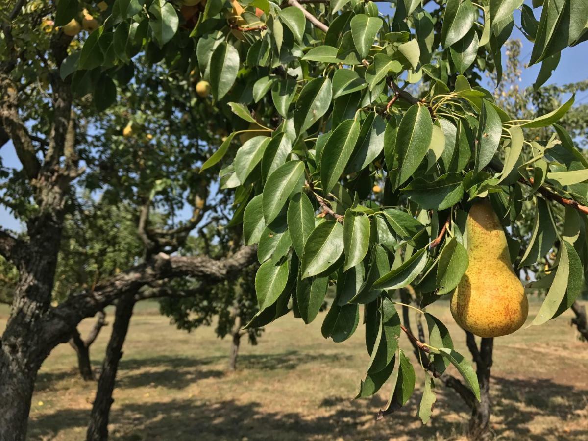 B&B Villino Margherita San Lazzaro di Savena Exteriör bild