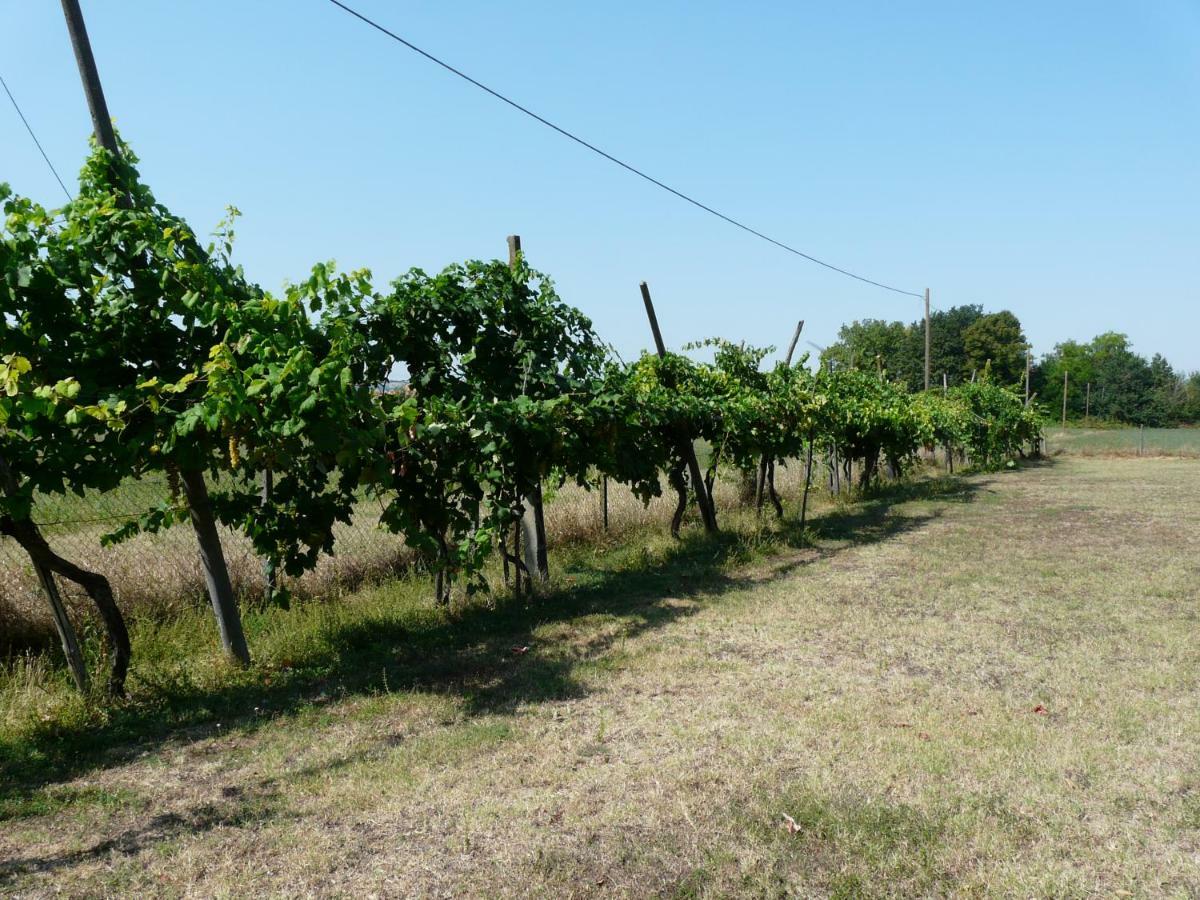 B&B Villino Margherita San Lazzaro di Savena Exteriör bild